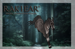 Rakiear | Colt | Herdmember