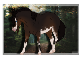Demetrius | Lead Stallion