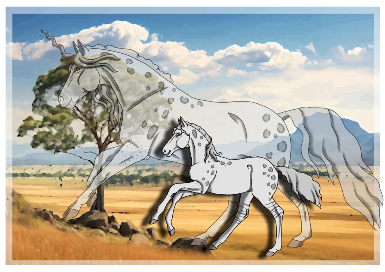 Amaya | Mare | Herd Member