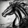 Horse- ink scribbles