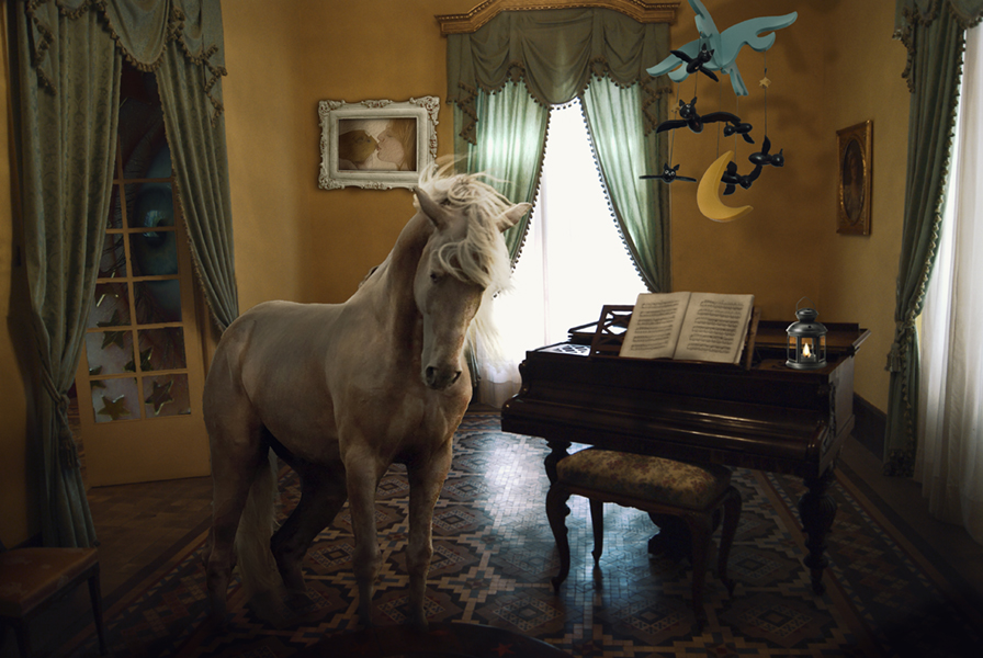 Crazy Animal Composing: Horse