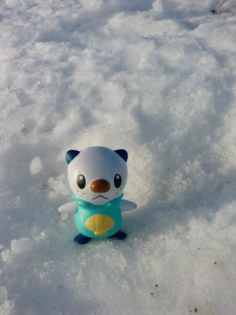 Oshawott - snow