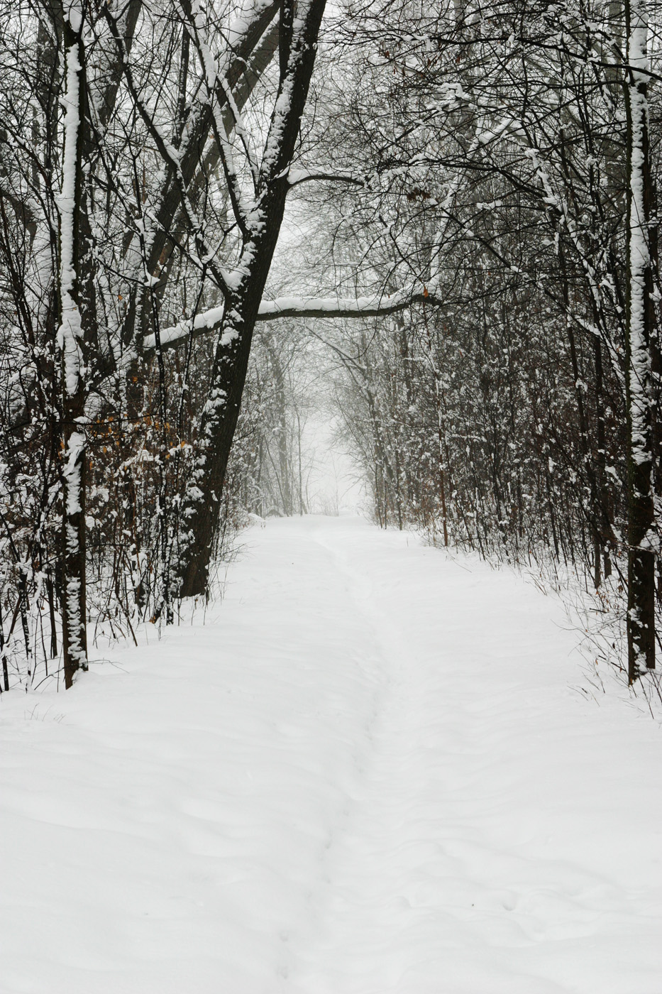 SnowTunnel