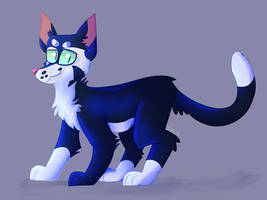 Felidae
