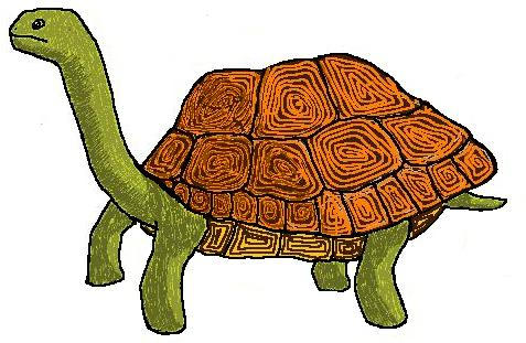 Fictional Tortoise Tortoise by ichthysofpetfish on DeviantArt