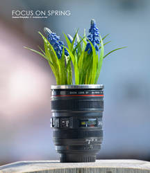 Focus on Spring