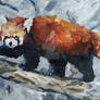 Red panda study