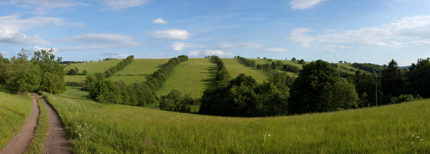 Green fields by drangnel Green fields by drangnel