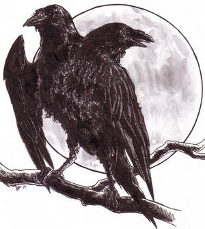 two-headed raven