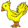 Chocobo Doodle