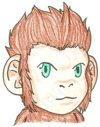 Monkey - Head Shot - Colour