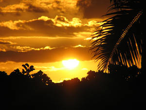 Hawaii Sunset