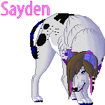 Sayden - Commission