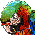 Free Catalina Macaw Icon by AntiDarkHeart