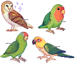 Bird Sprites 3 by AntiDarkHeart