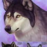 Wolf Redraw 2019