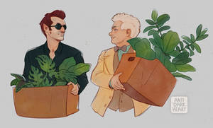 Plant Dads