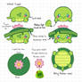 Turtle Slime Turnaround