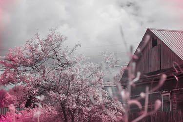 Infrared filter.