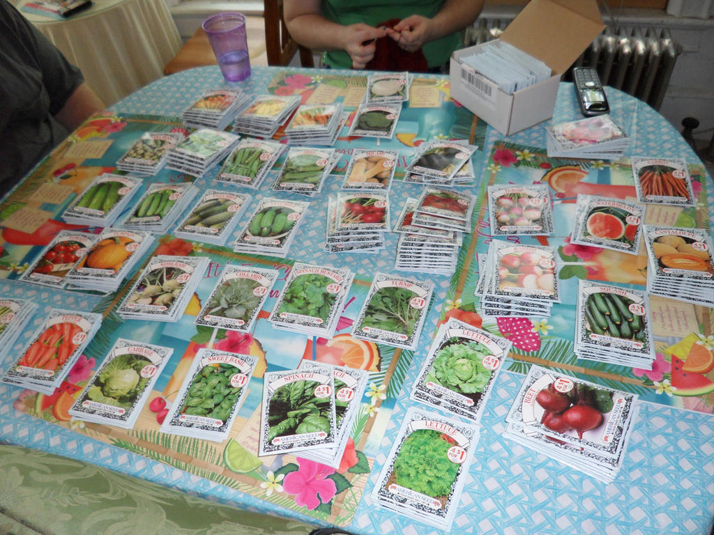 Seed packets spread out on a table