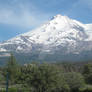 Shasta Backside