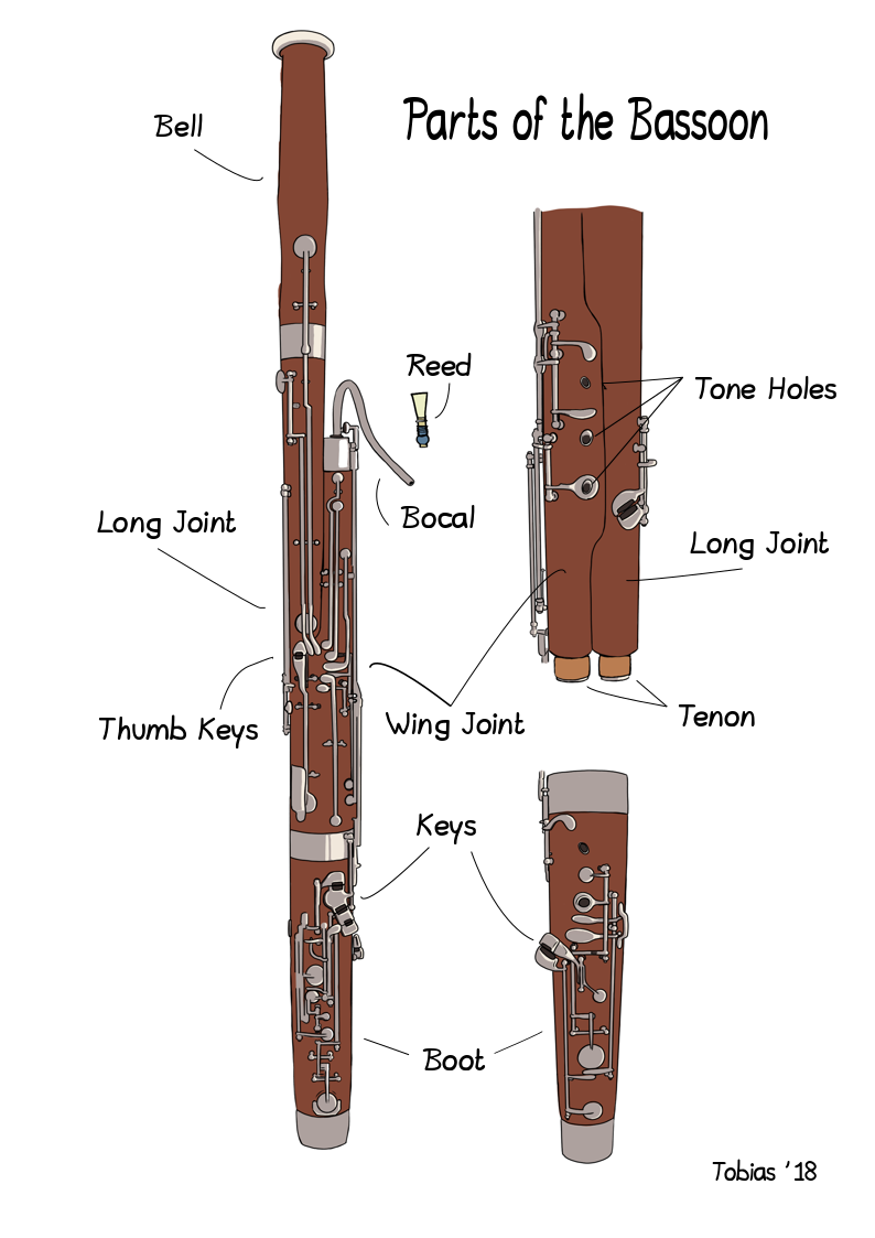 Bassoon Diagram By Tobysquid On DeviantArt bassoon-diagram-by-tobysquid-on-deviantart