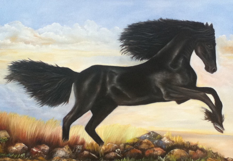 wild free horse