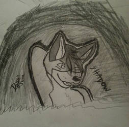 Fur drawing! -Shadow