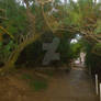 Tree Archway