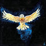 Hedwig Harry Potter's pet snowy owl
