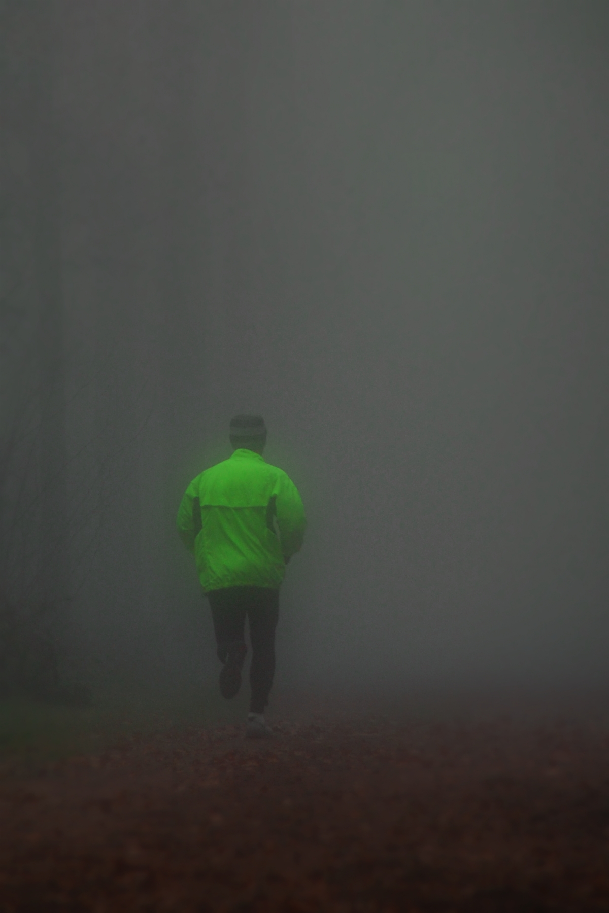 against a wall of mist