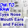 HOW TO DRAW Eyes, Nose, Mouth, Lips, Ears, Faces