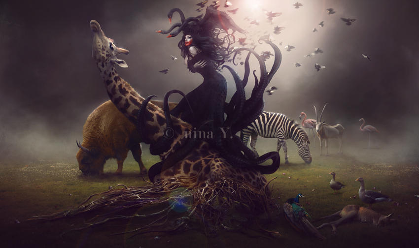 Dirteater's Garden by nina-Y Dirteater's Garden by nina-Y