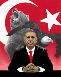 Erdogan (II)