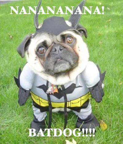 Batdaog BATDOG by MEGAFLICKSXD on DeviantArt