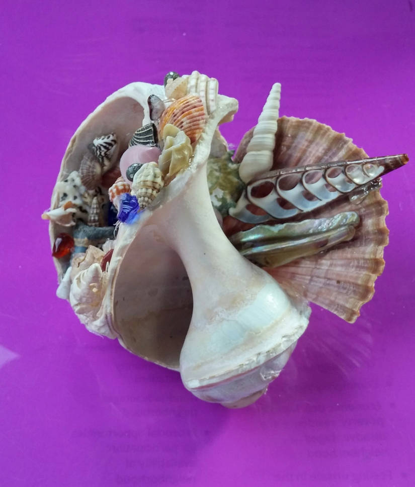 Shell Swirl: Side by SpartanFreelancer117 on DeviantArt