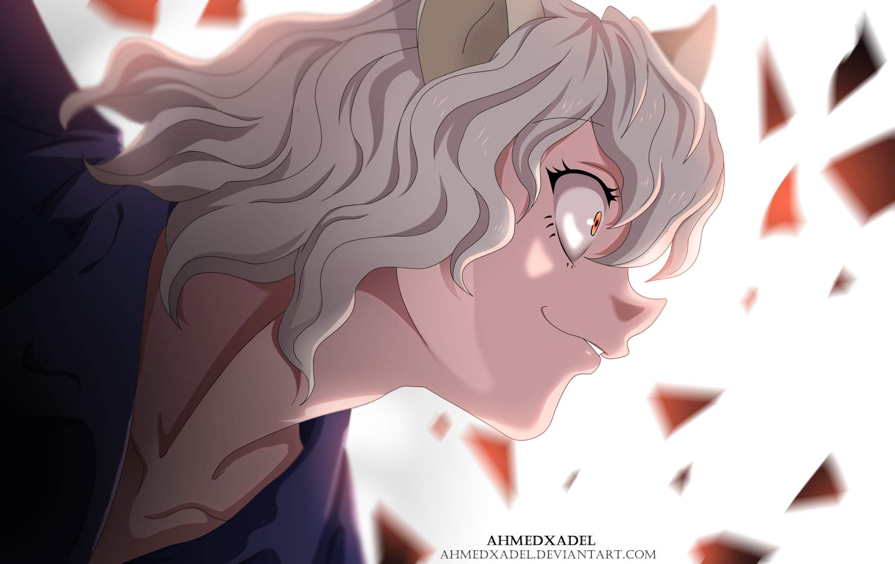 Pitou-HxH