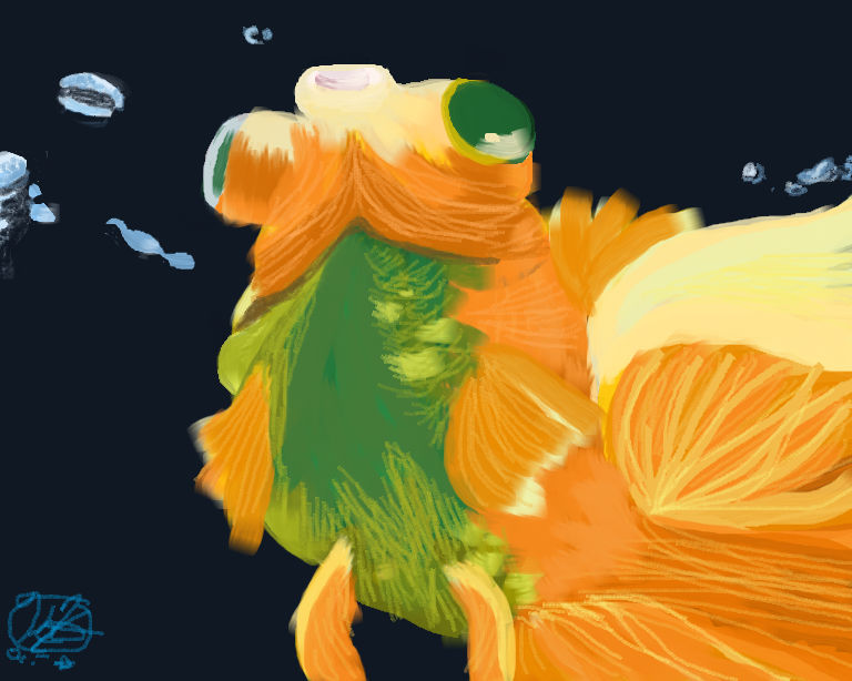 Deviantart 2007 Goldfish goldfish by kikyo291 on DeviantArt