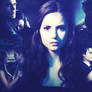 Delena or Stelena?