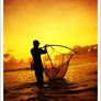 ---sunset catcher---