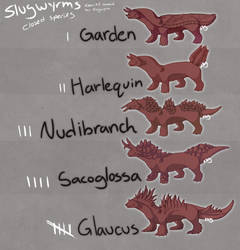 Slugwyrm Species Sheet