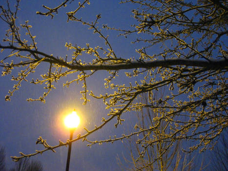 love under the lamppost