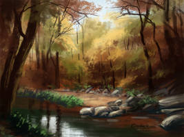 010 Forest 55min