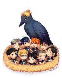 Haikyuu Nest