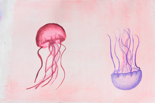 jellyfish 01