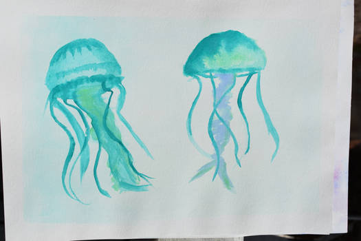 jellyfish 02