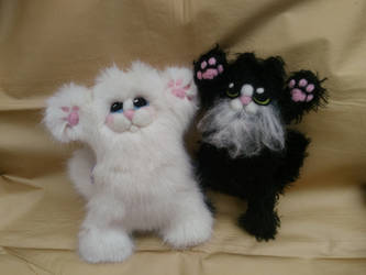 Custom cats