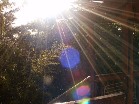 Real Rain 2  sunflare