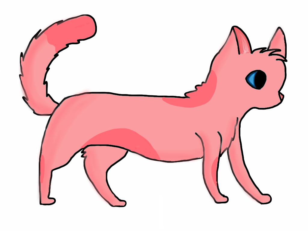 Pink kitty 