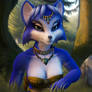 Star Fox Adventure Krystal #2